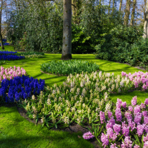 WLM, Work-a-Holics Landscape Managment, Inc.
