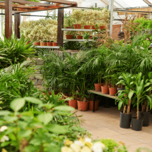 Danny Yates Landscaping